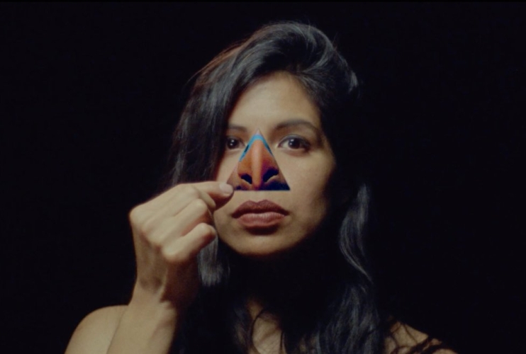 The Official Selection of the Punto de Vista festival features nineteen films produced in eighteen countries around the world