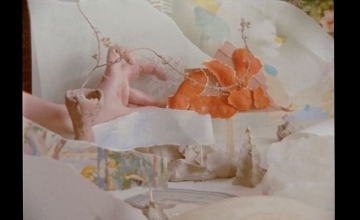 Punto de Vista presents this year’s intro, created by the artist Valentina Alvarado.