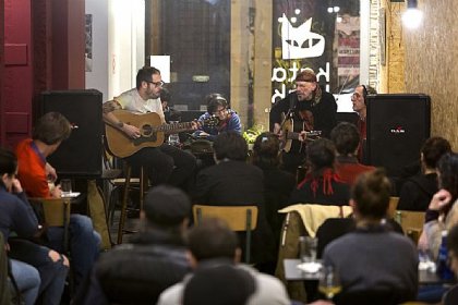 Acústicos de Punto de Vista