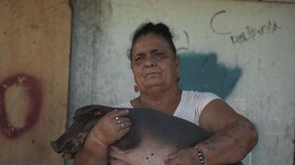 Pedro G Romero