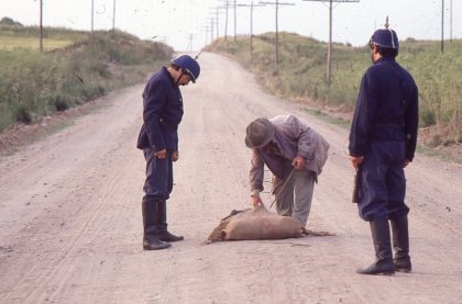La libertad, ¿es posible? El cine de Ana Poliak