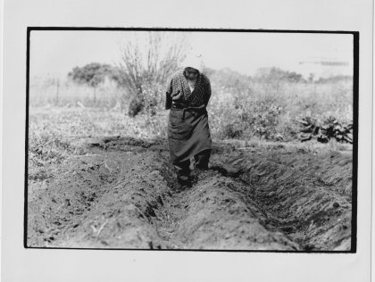 Tales from the land.  A Grasscutter's Tale, a film by Fukuda Katsuhiko (1985)