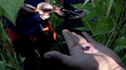 Filming light, filming life | Workshop for children (6 to 12 years old)