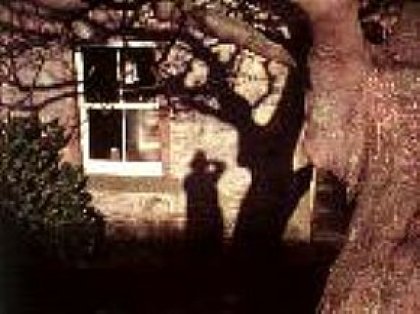 19 cortometrajes componen la retrospectiva que Punto de Vista dedicará a Margaret Tait