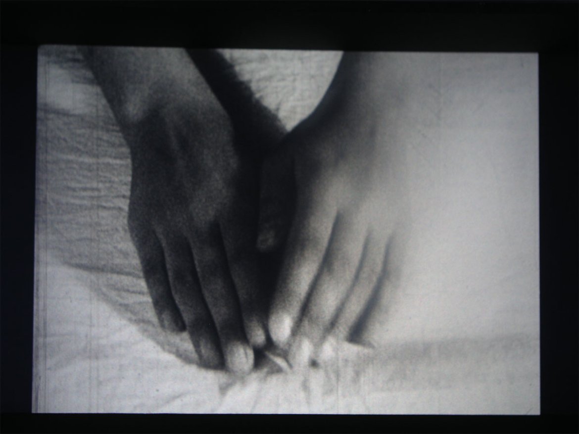 Alia Syed: Programa 1