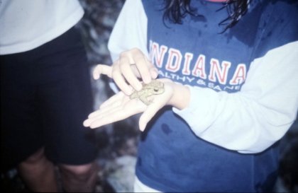 Sesión Jóvenes Programadoras Moving Cinema